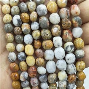 Natural Yellow Crazy Lace Agate Chips Beads Freeform, approx 6-9mm