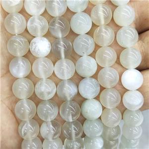 Natural WhiteGray Moonstone Beads Smooth Round, approx 10mm dia