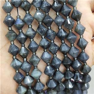 Natural Labradorite Beads Gray Bicone, approx 8mm