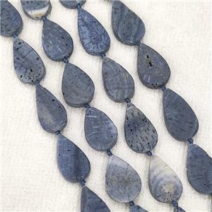 Blue Coral Fossil Beads Teardrop, approx 14-22mm
