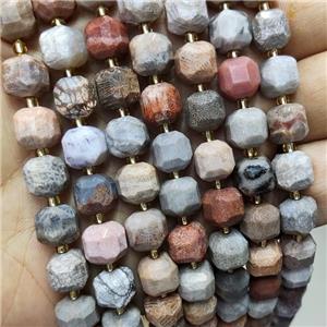 Natural Coral Fossil Beads Faceted Cube, approx 8-9mm