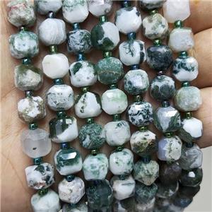 Natural Green Tree Agate Beads Faceted Cube, approx 8-9mm