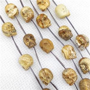 Natural Picture Jasper Skull Beads Carved, approx 8-10mm, 12pcs per st