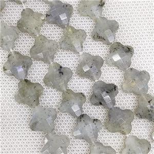 Natural Labradorite Clover Beads Gray Faceted, approx 13mm, 31pcs st