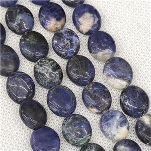Blue Sodalite Oval Beads, approx 12-14mm