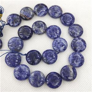 Natural Blue Sodalite Beads Circle, approx 20mm