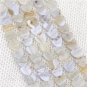 Natural Blue Lace Agate Heart Beads, approx 4mm
