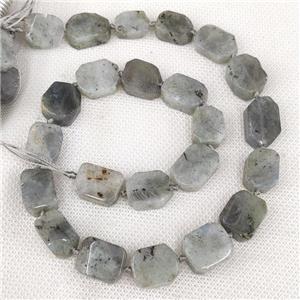 Natural Labradorite Rectangle Beads, approx 10-15mm
