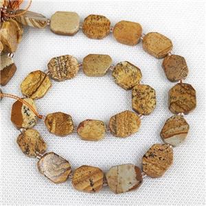 Natural Picture Jasper Rectangle Beads Khaki, approx 10-15mm