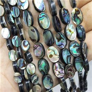 Abalone Shell Oval Beads Multicolor, approx 12x16mm