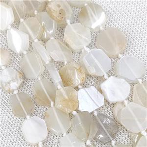 Natural White Moonstone Hexagon Beads, approx 12-14mm