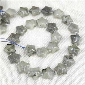 Natural Labradorite Star Beads Gray, approx 15mm