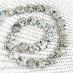Natural Kiwi Jasper Star Beads, approx 15mm