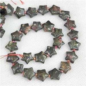 Natural Bloodstone Star Beads, approx 15mm