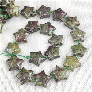 Natural Dragon Bloodstone Star Beads Green, approx 20mm