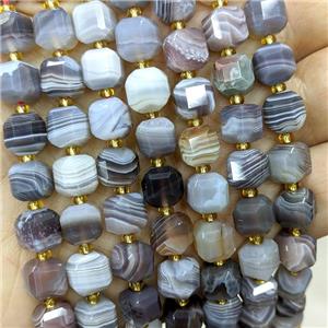 Natural Botswana Agate Beads Gray Faceted Cube, approx 8-9mm
