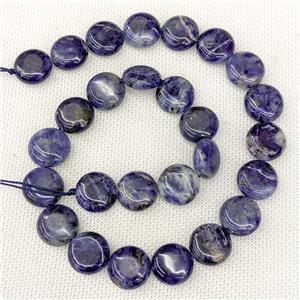 Natural Blue Sodalite Coin Beads, approx 15mm