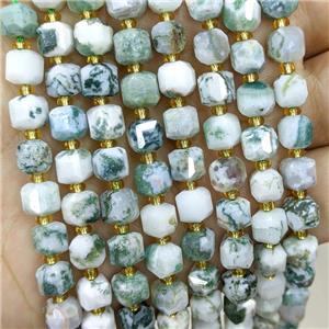 Natural Green Tree Agate Beads Faceted Cube, approx 6-7mm