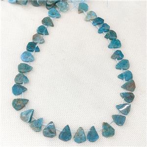 Natural Blue Apatite Beads Teardrop Topdrilled, approx 10-16mm