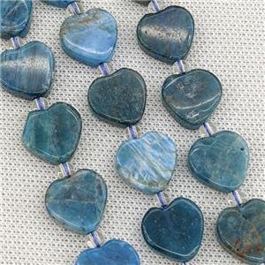 Natural Blue Apatite Heart Beads, approx 16mm