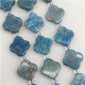 Natural Blue Apatite Clover Beads, approx 18mm