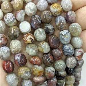 Natural Crazy Lace Agate Chips Beads Multicolor Freeform, approx 9-12mm