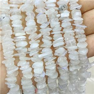Natural White Moonstone Chips Beads Blue Flash Freeform, approx 7-11mm
