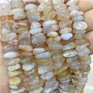 Natural Sakura Cherry Agate Beads Chips Freeform, approx 8-13mm