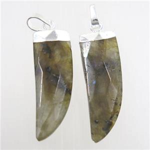 Labradorite horn pendant, silver plated, approx 10-30mm