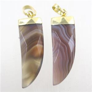 Botswana Agate horn pendant, gold plated, approx 10-30mm