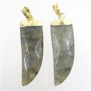 Labradorite horn pendant, gold plated, approx 10-30mm