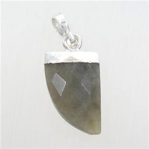 Labradorite horn pendant, silver plated, approx 10-15mm