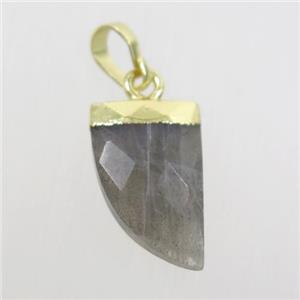 Labradorite horn pendant, gold plated, approx 10-15mm