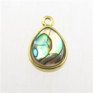 Abalone Shell pendant, teardrop, gold plated, approx 9-11mm