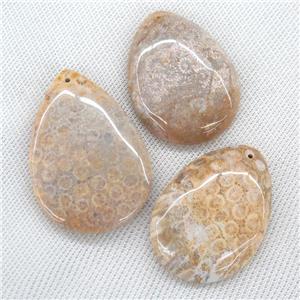 Coral Fossil Pendants, teardrop, yellow, approx 30-60mm