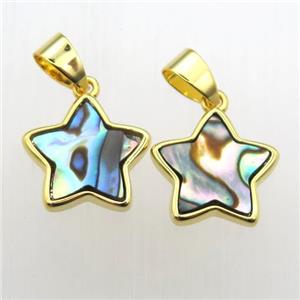 Abalone Shell star pendant, approx 13mm dia
