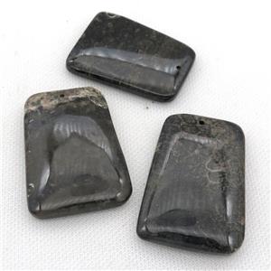 black Coral Fossil pendants, trapeziform, approx 35-55mm