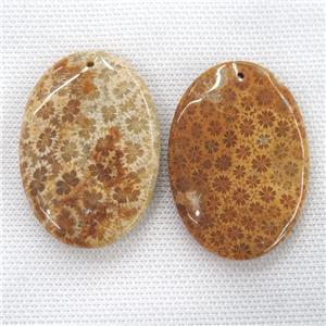 yellow Coral Fossil pendants, oval, approx 35-50mm