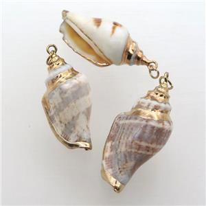Conch Shell pendant, gold plated, approx 15-20mm