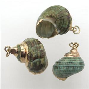 green Conch voluta Shell pendant, gold plated, approx 13-20mm