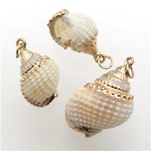 white Conch Shell pendant, gold plated, approx 15-28mm