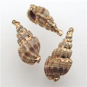 Conch voluta Shell Oyster pendant, gold plated, approx 15-35mm