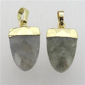 Labradorite Tongue Pendant Gold Plated, approx 11-16mm