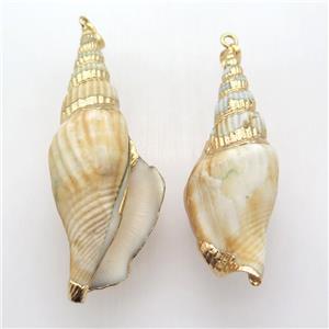 Conch Shell pendant, gold plated, approx 20-60mm