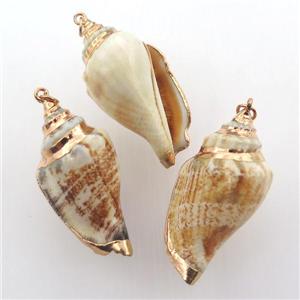 conch shell pendant, gold plated, approx 20-35mm