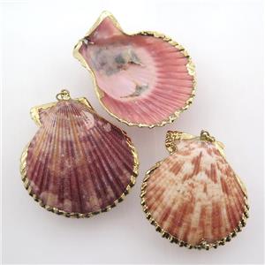 conch Clam shell pendant, gold plated, approx 35-50mm