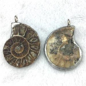 Ammonite Fossil pendant, tin-plating, approx 30-40mm