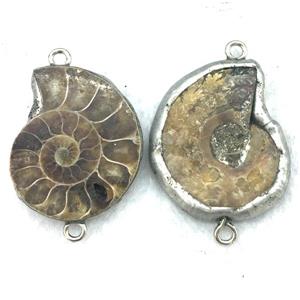 Ammonite Fossil connector, tin-plating, approx 20-25mm