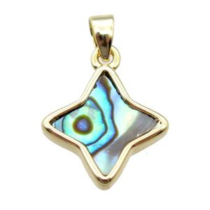 Abalone Shell star pendant, gold plated, approx 13mm