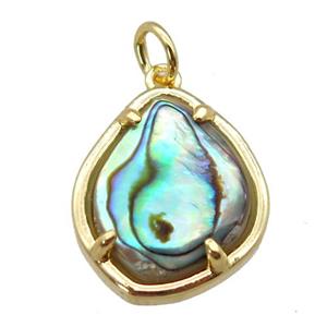 Abalone Shell pendant, gold plated, approx 14-17mm